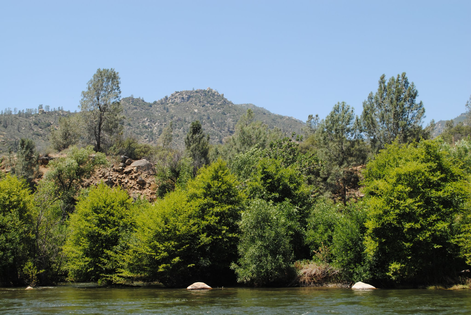 A wooded mountain landscape rising above calm water